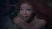 Trevor Noah Rips Racist ‘Little Mermaid’ Criticism | THR News