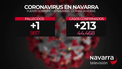 EXPERTO DATOS CORONAVIRUS EN NAVARRA 14 ENERO.mp4
