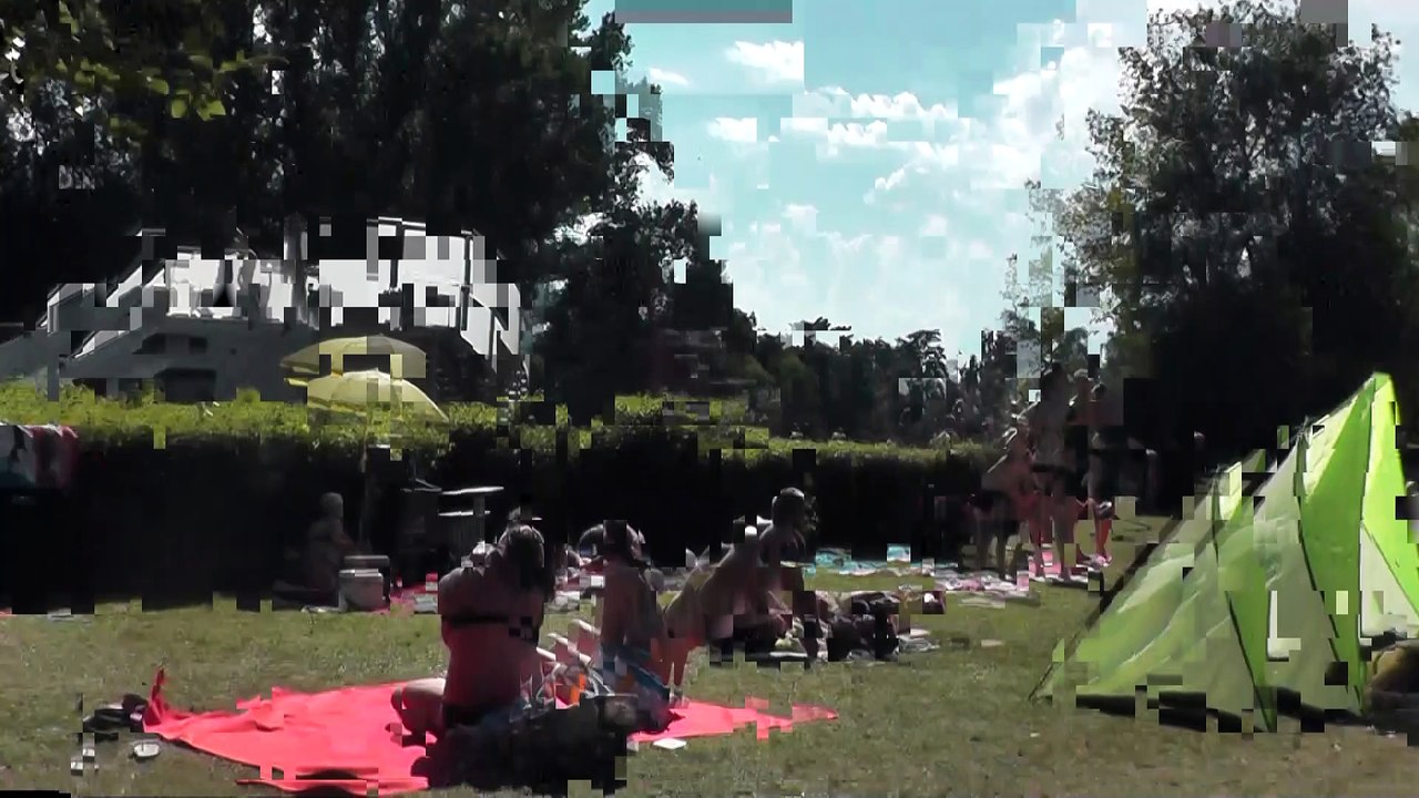 Gegenstand im Gebüsch verloren