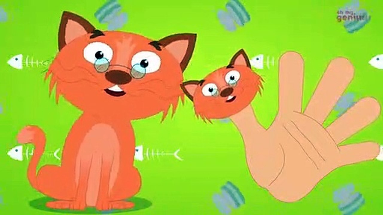 Finger Family Kitten