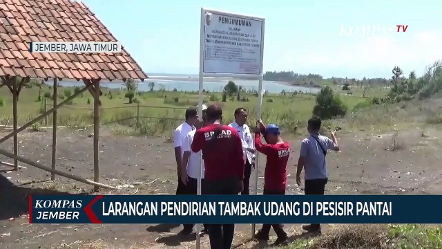 Upaya Penertiban Tambak Udang Liar Di Pesisir Selatan Jember
