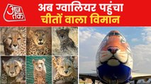 8 Nambian cheetahs land at Gwalior airport