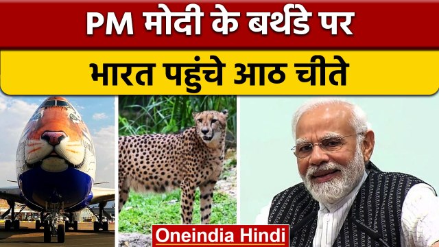 Namibia से India की धरती पर Cheetahs की लैंडिंग, Gwalior पहुंचे 8 चीते | वनइंडिया हिंदी | *News