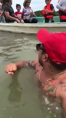 Guy Swimming with Lucero the Dolphin Gets Bit