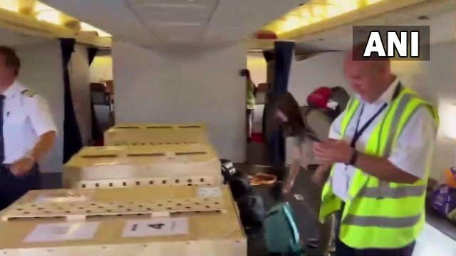 Eight Cheetahs brought to India from Namibia