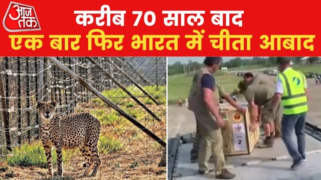 Cheetah Returns India, Exclusive pictures from airport