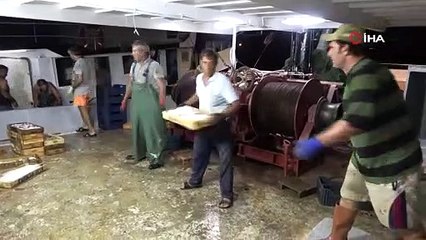 Akdeniz'den balıkçılar 24 saat sonra ilk avlarla döndü