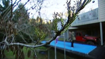 Children living in motels due to major shortage of foster carers