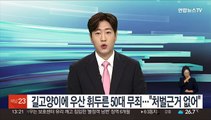 길고양이에 우산 휘두른 50대 무죄…