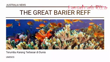 10 Fakta Menarik Tentang Benua Australia - Kanguru, Aborigin, Hewan Beracun, dll