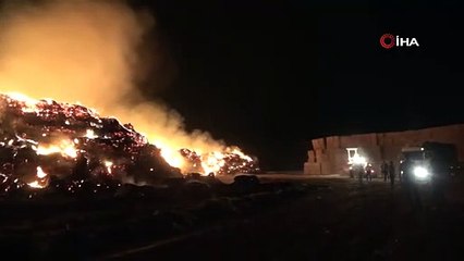 Geceyi alevler aydınlattı, milyonluk balyalar küle döndü