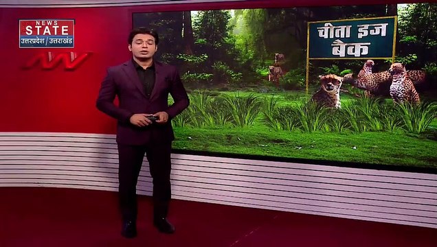 Cheetah Breaking : Namibia से Gwalior पहुंचेगा 8 चीतों का विशेष विमान | MP News |