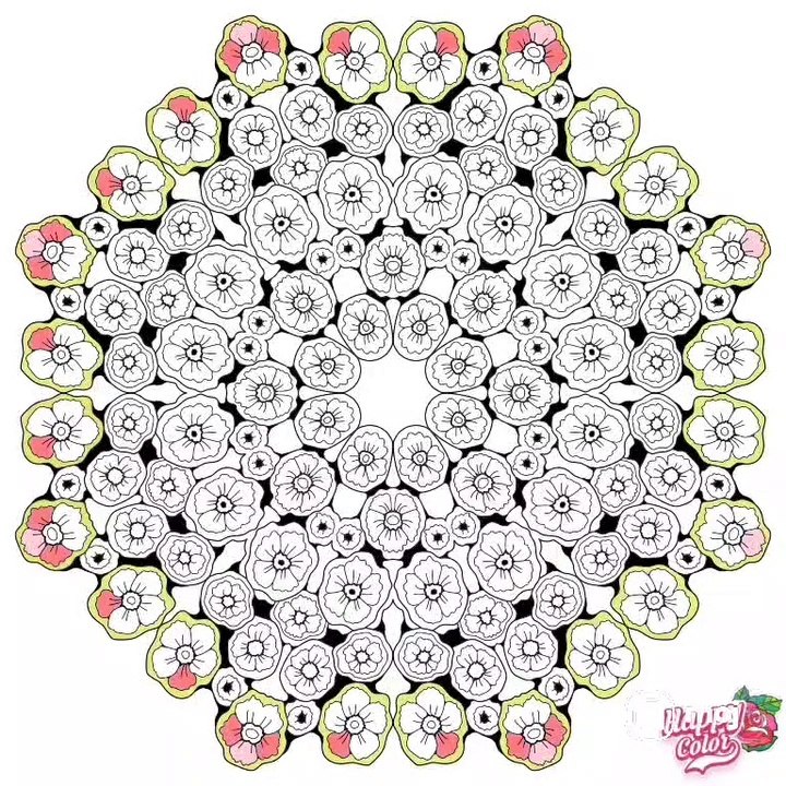 Flower Video23