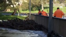 Major flood warnings in place for rivers in Western New South Wales