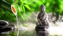 Bamboo Flute Music, Positive Energy Vibration, Cleanse Negative Energy, Healing Music,Meditation #95