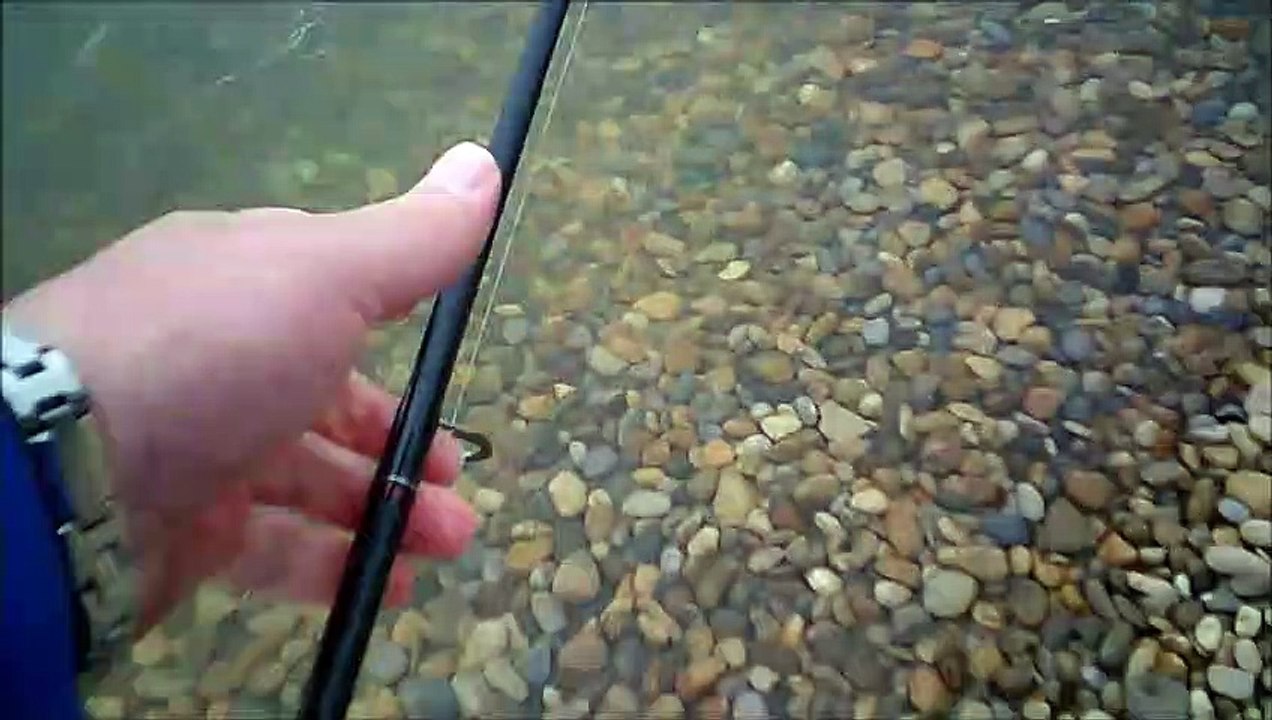 MCH 330 LOOK AT THE TEETH AN THIS FISH FROM THE RED DEER RIVER BASIN ALBERTA CANADA BIG GAME FISHING.