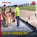 ग्वालियर (मप्र): ज्योतिरादित्य सिंधिया ने ग्वालियर एयरपोर्ट पर की चीते लाने वाले दल की अगुवानी