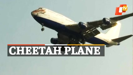 Special Plane Carrying Cheetahs From Namibia Arrives In India