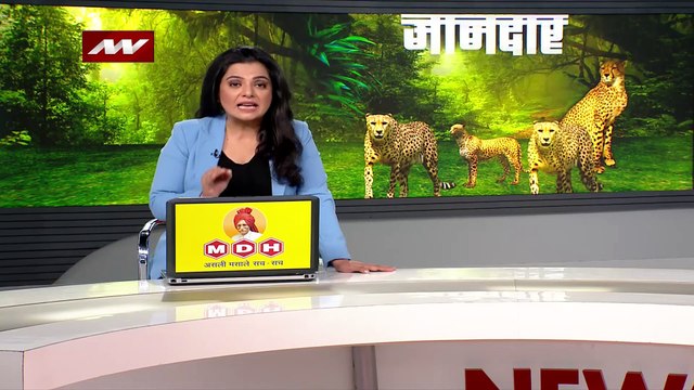 Madhya Pradesh Breaking : Namibia से चीतों को लेकर Gwalior पहुंचा विशेष विमान बोइंग-747 | MP News |