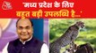It is big achievement for MP, says Vishwas Sarang on Cheetah