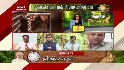 Madhya Pradesh Breaking : वन्यजीवों के संरक्षण को एक नई ताकत मिलेगी : PM नरेंद्र मोदी | MP News |