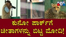 PM Modi Releases 8 Cheetahs At Madhya Pradesh National Park | Public TV