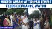 Reliance Industries Chairman Mukesh Ambani visits Tirupati temple, watch video | Oneindia news *News