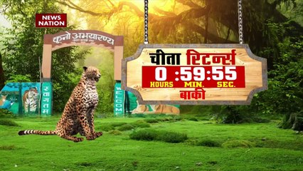 Cheetah Breaking : Gwalior से कुनो नेशनल पार्क के लिए रवाना हुए PM मोदी | MP News |