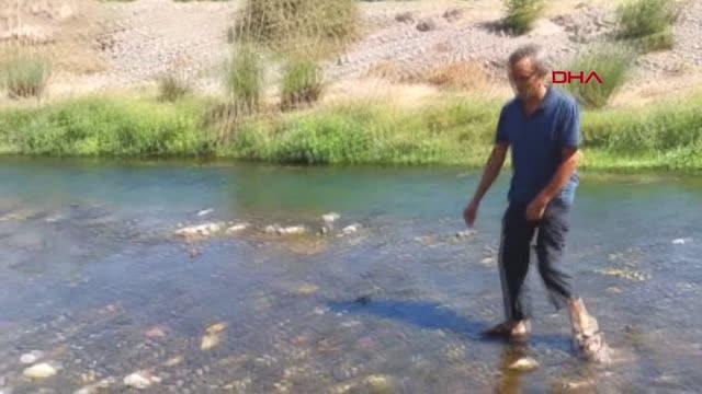 ATIK LASTİKLERİN BIRAKILDIĞI KARAÇAY DERESİ'NDE BALIK ÖLÜMLERİ