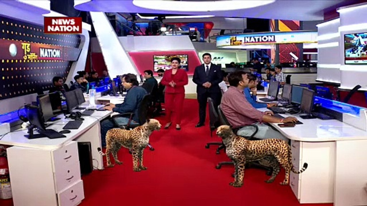 Cheetah Breaking : Madhya Pradesh के कुनो नेशनल पार्क में फिर लौटे चीते | MP News |