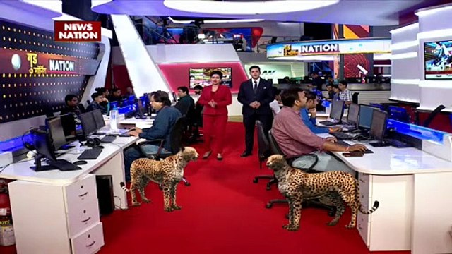 Cheetah Breaking : Madhya Pradesh के कुनो नेशनल पार्क में फिर लौटे चीते | MP News |