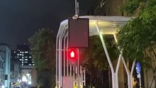 Don’t jaywalk? #忠駝論壇 #fyp #fypシ #foryou #foryoupage #jaywalk #viral
