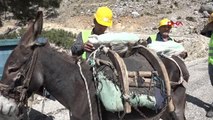 TOROSLARIN DAĞ KÖYÜNDEKİ SU ÇALIŞMASI İÇİN KATIR VE EŞEKLER KİRALANDI