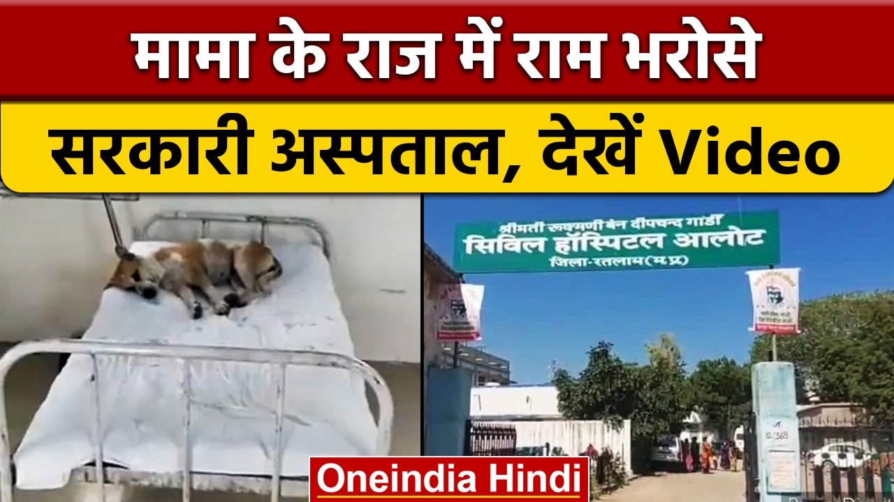 Madhya Pradesh: सरकारी Hospital के बेड पर सो रहा था कुत्ता, Viral Video| वनइंडिया हिंदी |*News