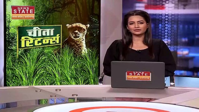 Madhya Pradesh Breaking : PM मोदी चीतों को जंगल में छोड़ेंगे | MP News |