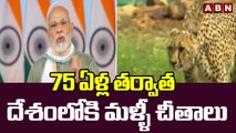 75 ఏళ్ల తర్వాత దేశంలోకి మళ్ళీ చీతాలు | PM MODI | ABN Telugu