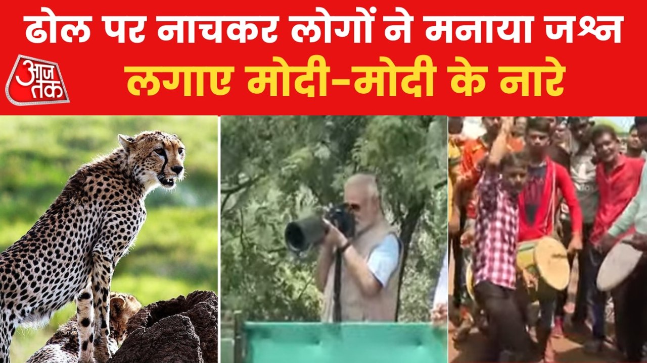 MP: People celebrates over 'Cheetah returns' to India