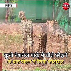श्योपुर : चीते छोड़ने के बाद पीएम ने उठाया फोटोग्राफी का लुफ्त