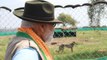 Historic moment for India, says PM Modi after releasing cheetahs at Kuno National Park