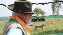 Historic moment for India, says PM Modi after releasing cheetahs at Kuno National Park