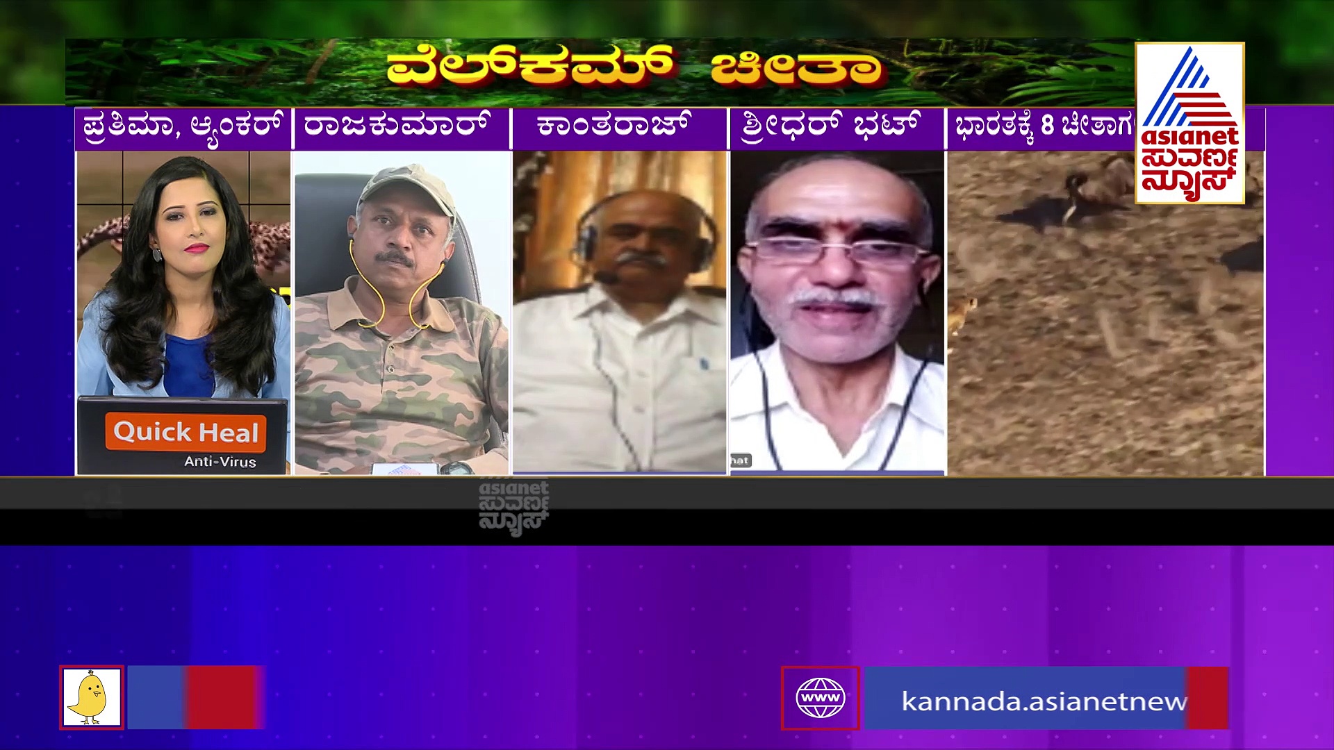 ಭಾರತಕ್ಕೆ ಬಂದಿಳಿದ ಆಫ್ರಿಕನ್ ಚೀತಾಗೆ ಯಾಕಿಷ್ಟು ಮಹತ್ವ: ವನ್ಯಜೀವಿ ತಜ್ಞರ ಮಾತು ಕೇಳಿ