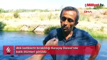 Atık lastiklerin bırakıldığı Karaçay Deresi'nde balık ölümleri