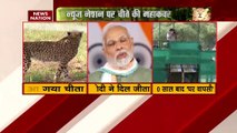 Cheetah Breaking : Madhya Pradesh के कुनो नेशनल पार्क में PM मोदी ने चीतों को छोड़ा | MP News |