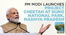 PM Modi launches Project Cheetah at Kuno National Park, Madhya Pradesh | Source DD