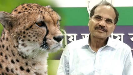 চিতা নিয়ে আদিখ্যেতা, চিতা না এলে আমাদেরই চিতা জ্বলে যেত: অধীররঞ্জন চৌধুরী