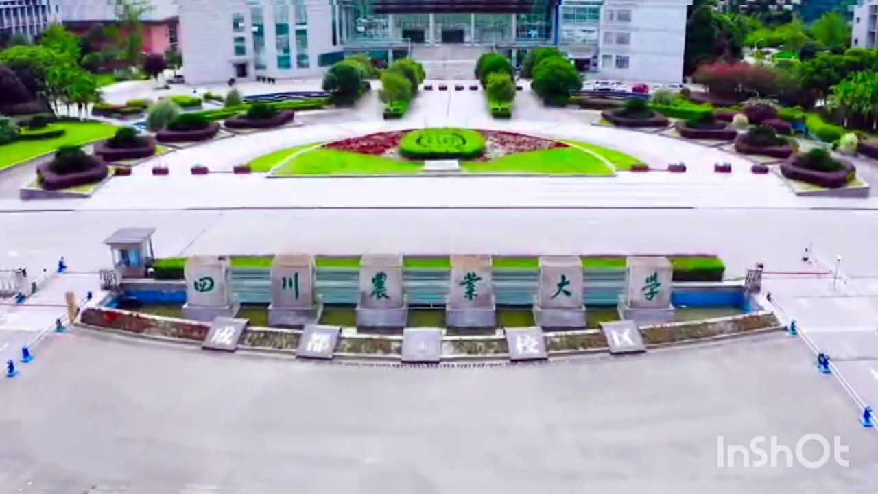 College of Forestry-Sichuan Agricultural University Chengdu China