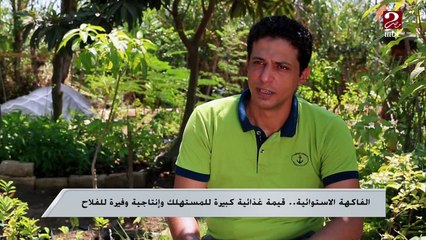 الفاكهة الإستوائية.. قيمة غذائية كبيرة للمستهلك وإنتاجية وفيرة للفلاح