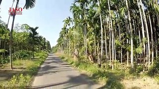 Is Chhote se Island me Local Log Kaise Rahte Hain I Local life in Havelock Island #havelockisland