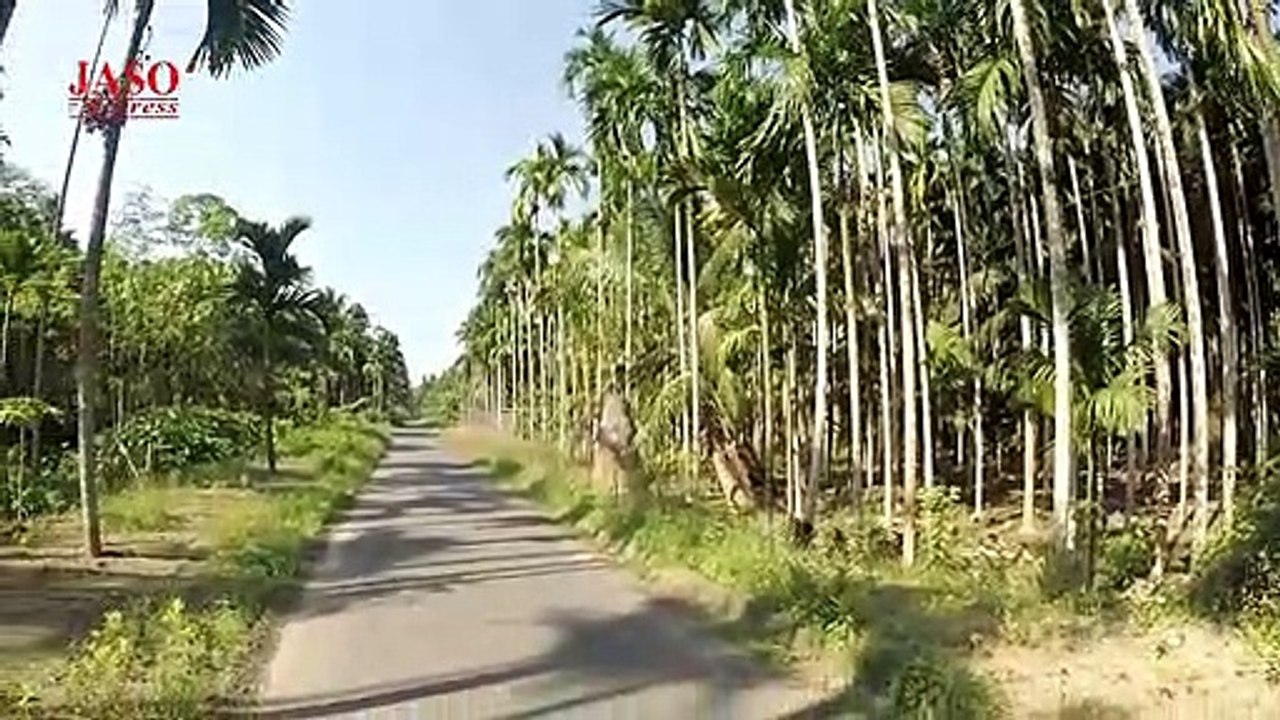 Is Chhote se Island me Local Log Kaise Rahte Hain I Local life in Havelock Island #havelockisland