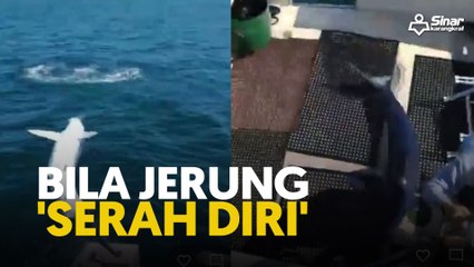 Bila jerung 'serah diri'